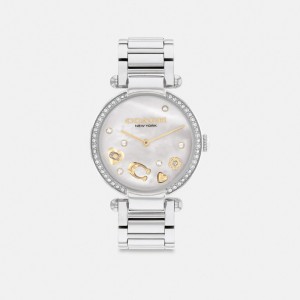 Coach Cary Watch 34 Mm Stainless Steel | 425-SLARJP