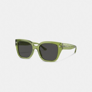 Coach Charms Oversized Square Sunglasses Green | 173-DSNBKR