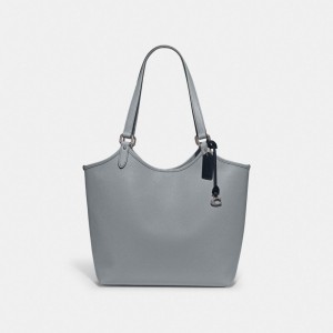 Coach Day Tote Bag Silver/Grey Blue | 306-IZQKLD