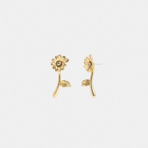 Coach Garden Flower Stem Stud Earrings Gold | 534-NWIVKH