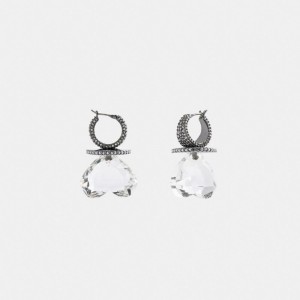 Coach Heart Gemstone Earrings Silver | 824-QADRYG