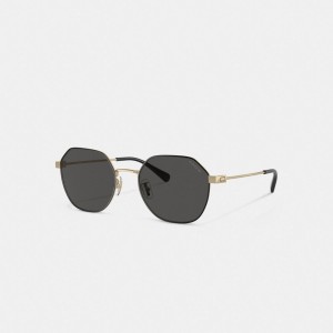 Coach Hinged Geometric Round Sunglasses Gold Black | 702-CNIEYB