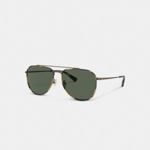 Coach Metal Windsor Pilot Sunglasses Dark Tortoise/ Antique Gold | 897-VJGTMK