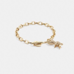 Coach Pavé Rexy Signature Chain Bracelet Gold/Crystal | 419-QRSIUY