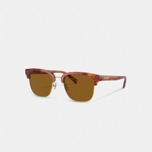 Coach Retro Sunglasses Brown | 316-KYFLHV