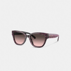 Coach Signature Round Sunglasses Ruby Pearlized Signature | 197-YZRCMP