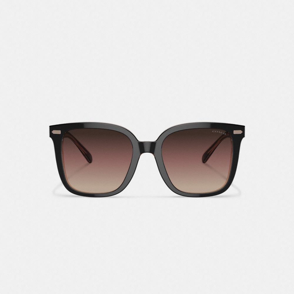 Coach Beveled Signature Oversized Square Sunglasses Black/Blush | 307-FOVBEU