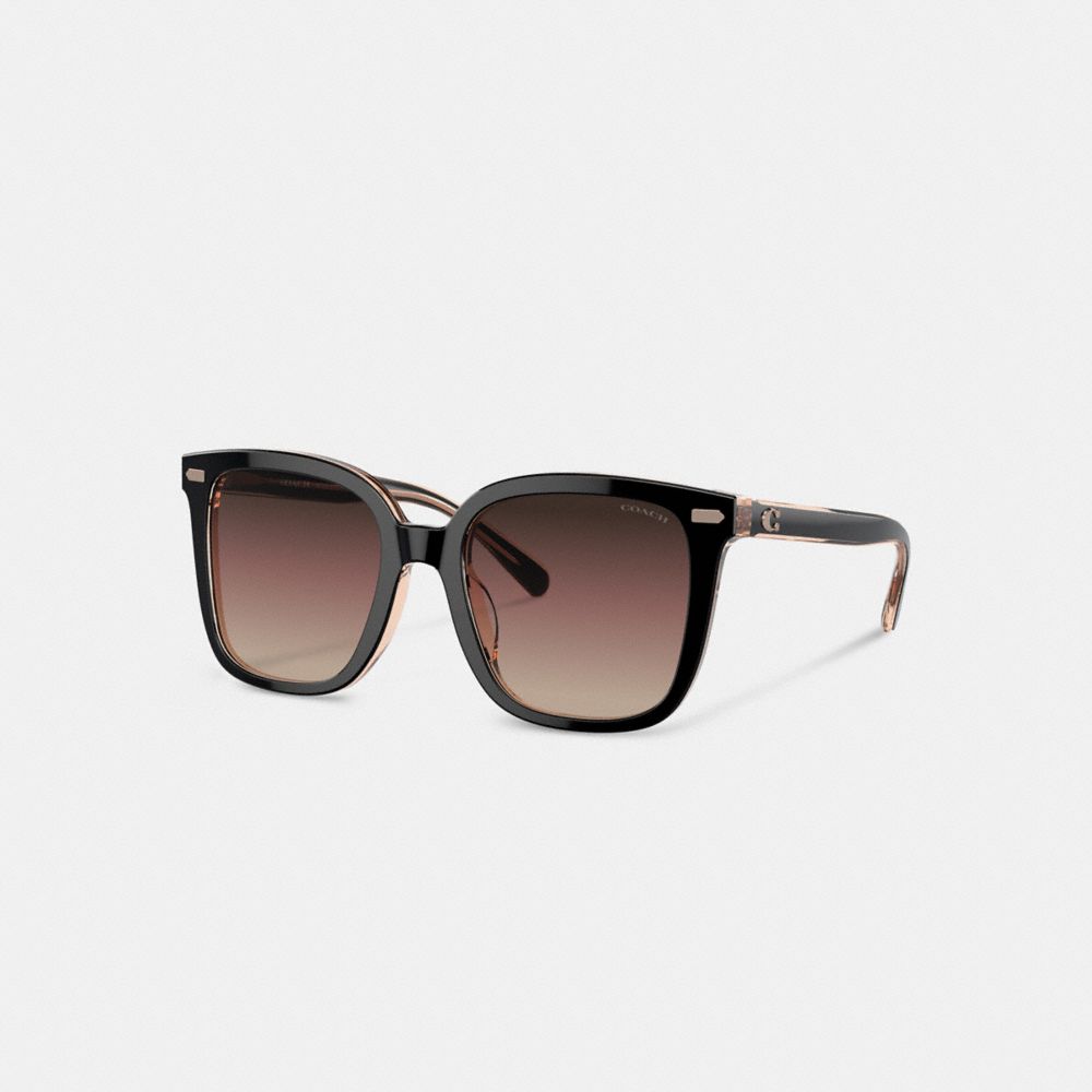 Coach Beveled Signature Oversized Square Sunglasses Black/Blush | 307-FOVBEU