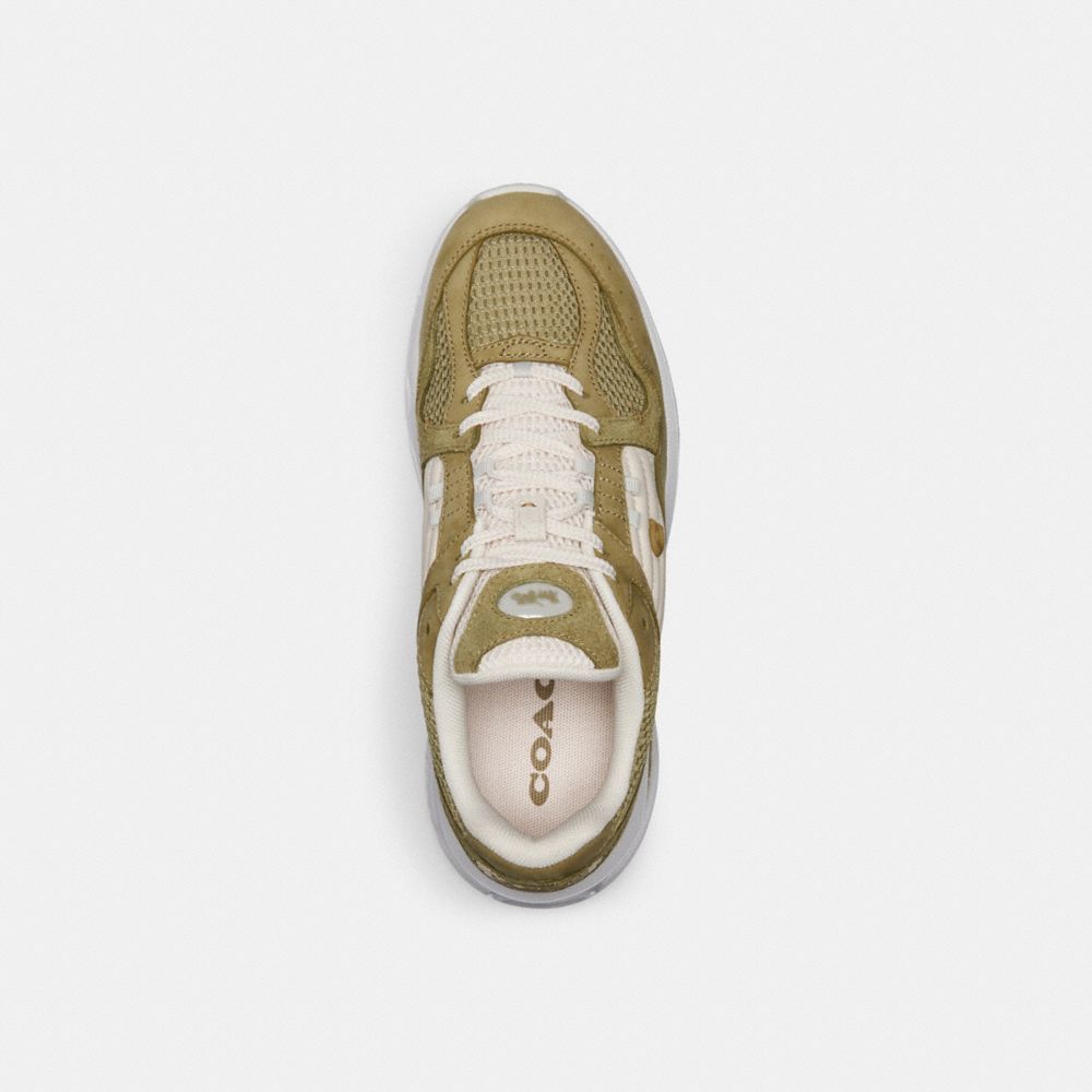 Coach C301 Sneaker Moss | 358-PGERZT