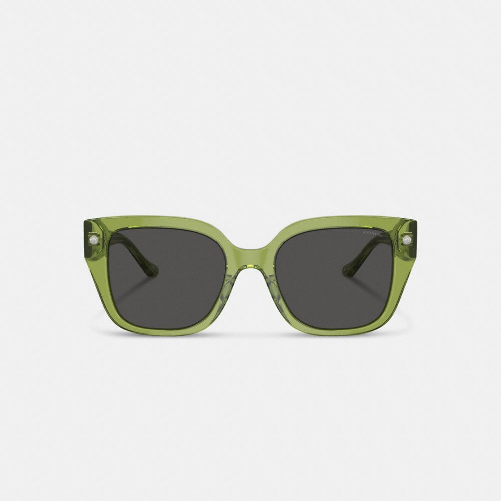 Coach Charms Oversized Square Sunglasses Green | 173-DSNBKR