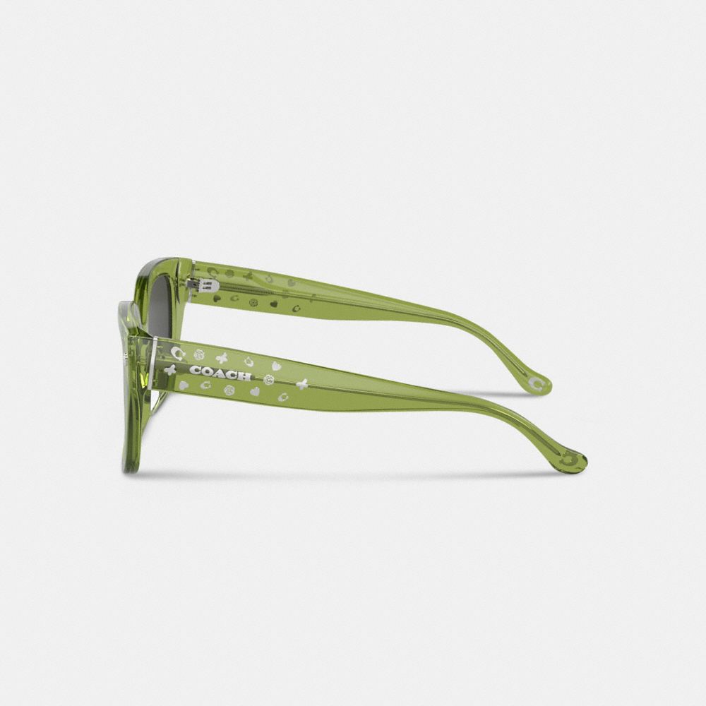 Coach Charms Oversized Square Sunglasses Green | 173-DSNBKR