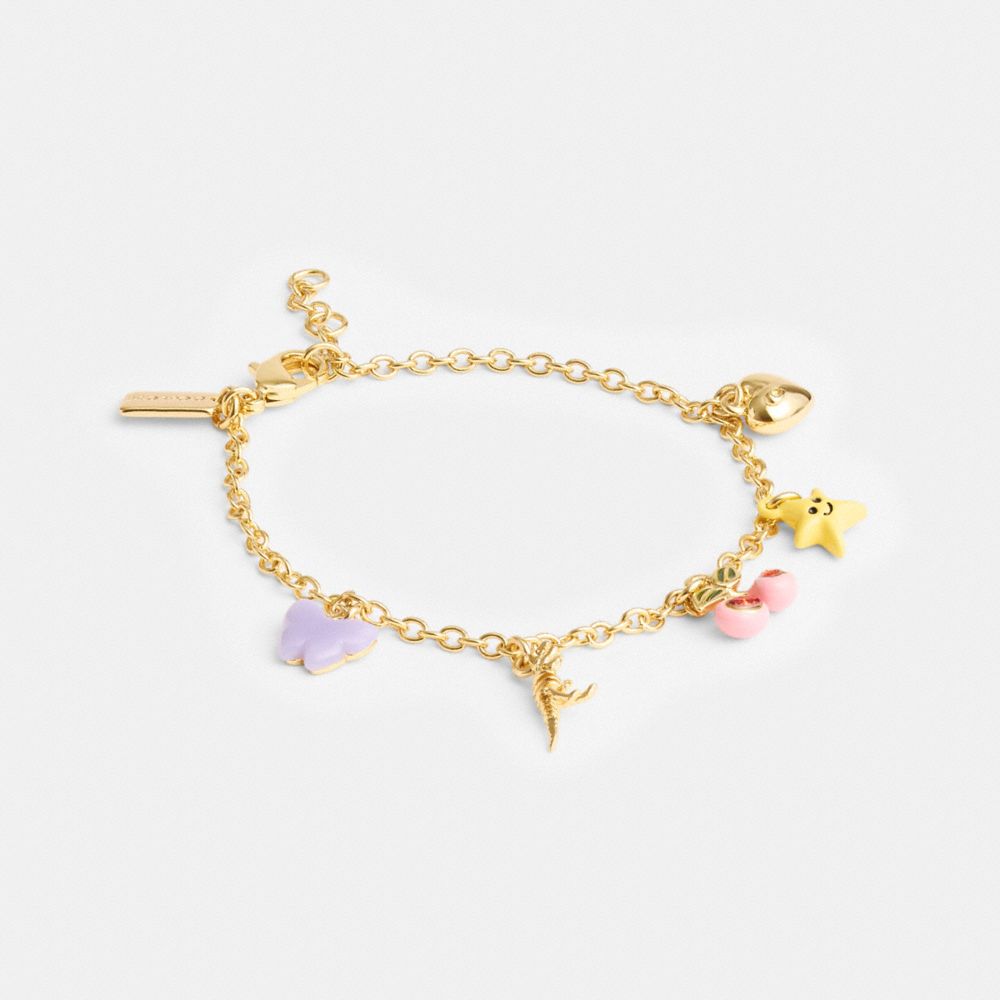 Coach Cherry And Heart Charm Bracelet Gold/Multi | 591-BQFXEA