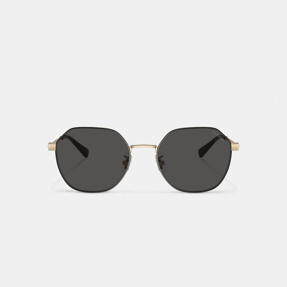 Coach Hinged Geometric Round Sunglasses Gold Black | 702-CNIEYB