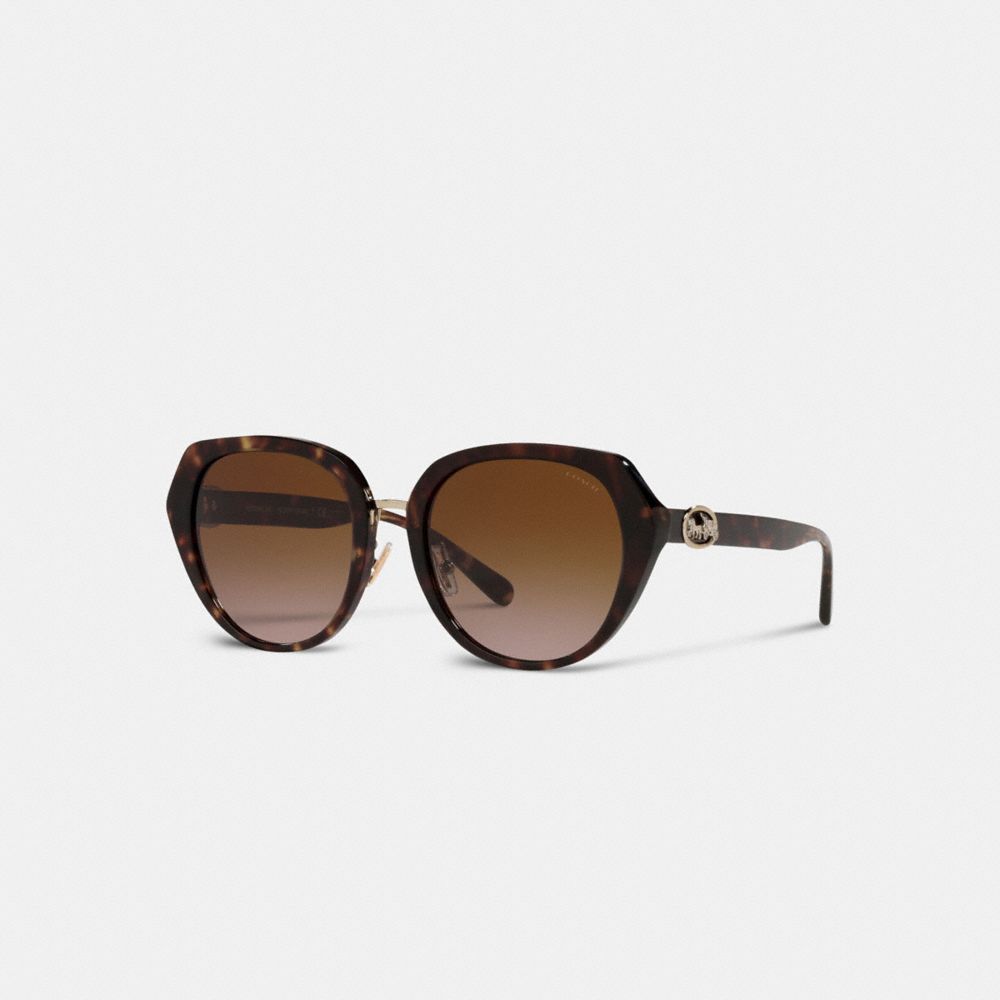 Coach Horse And Carriage Oversized Round Sunglasses Dark Tortoise | 810-IUPAZH