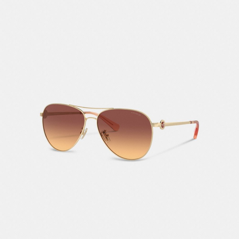 Coach Metal Aviator Sunglasses Dark Brown | 903-YAMXQB