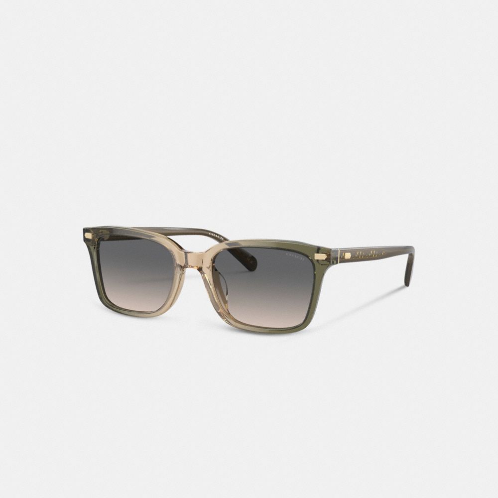 Coach Narrow Square Sunglasses Green/Tan Gradient | 439-ZXDCPK