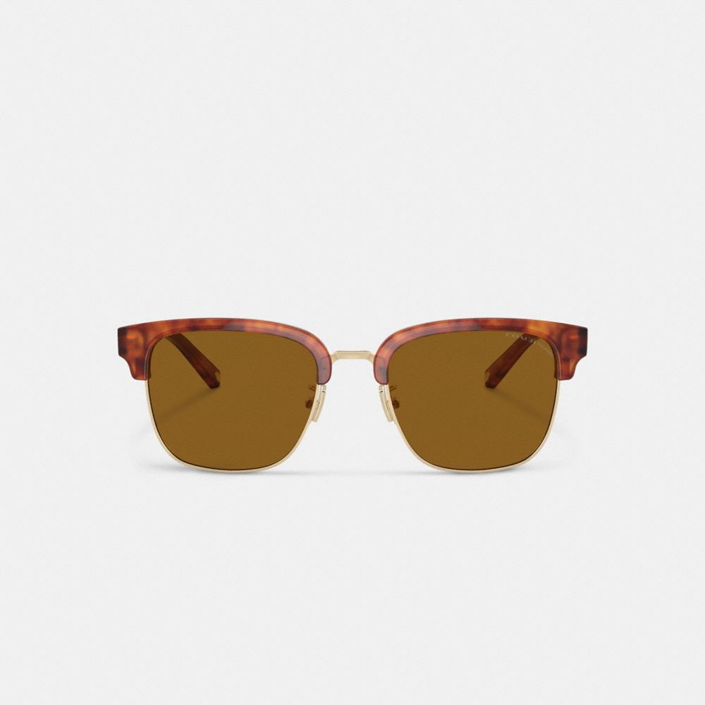 Coach Retro Sunglasses Brown | 316-KYFLHV