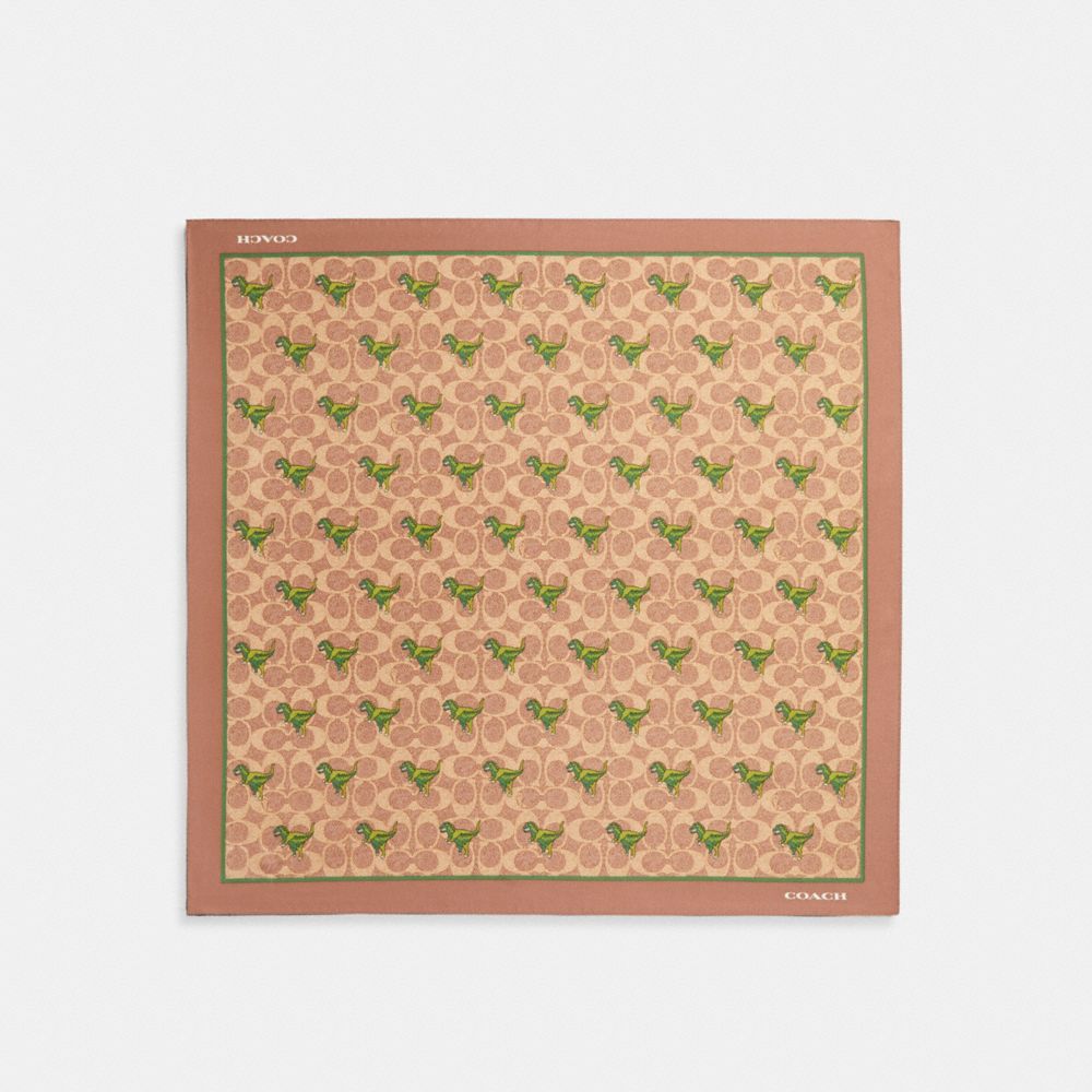 Coach Rexy Print Silk Bandana Khaki | 720-ZJBQFX