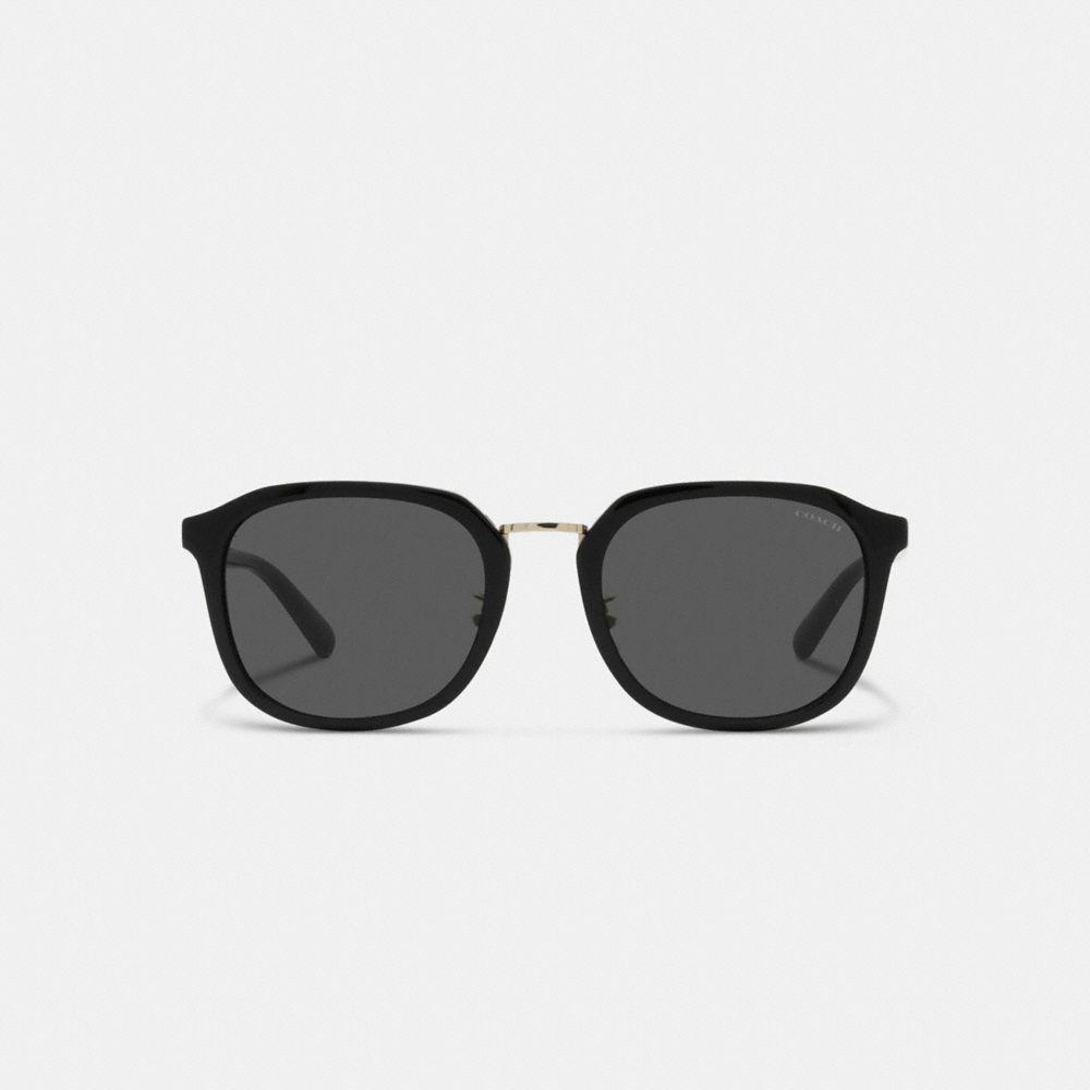 Coach Rounded Geometric Sunglasses Black | 902-GSHZVT