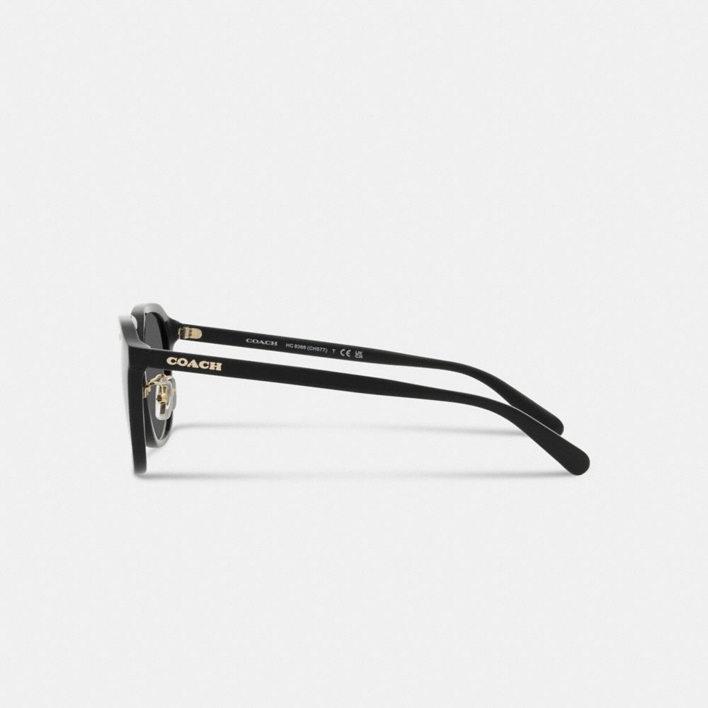 Coach Rounded Geometric Sunglasses Black | 902-GSHZVT