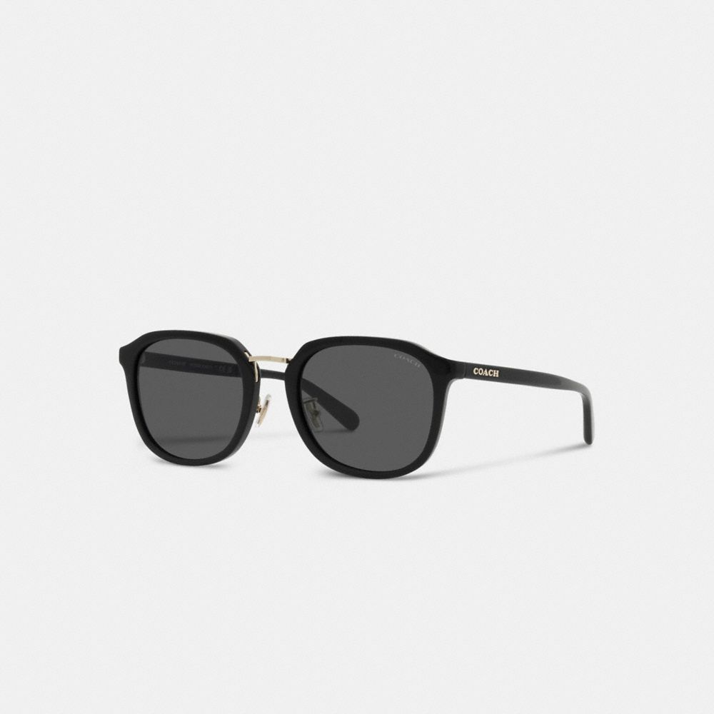 Coach Rounded Geometric Sunglasses Black | 902-GSHZVT