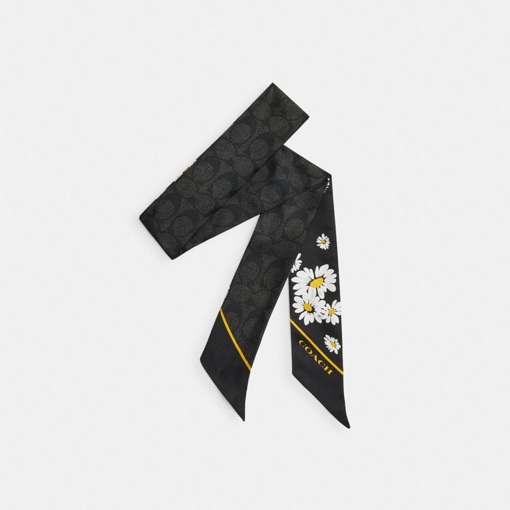 Coach Signature Daisy Cluster Print Silk Skinny Scarf Black/Chalk | 627-ROWMGY