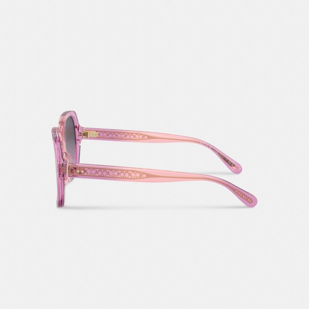 Coach Signature Ombré Oversized Square Sunglasses Pink Purple Gradient | 195-DWNSUJ