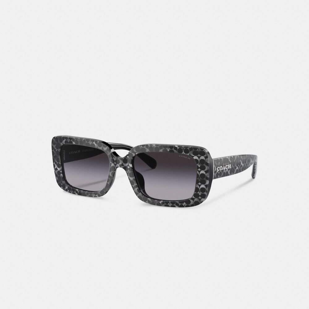 Coach Signature Oversized Rectangle Sunglasses Silver Pearlized Signature | 542-PTYDJS