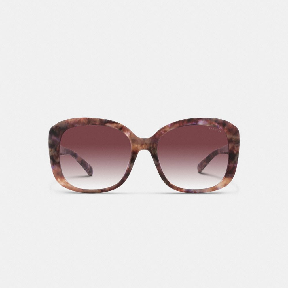 Coach Signature Oversized Square Sunglasses Purple Tortoise | 531-WEMISU