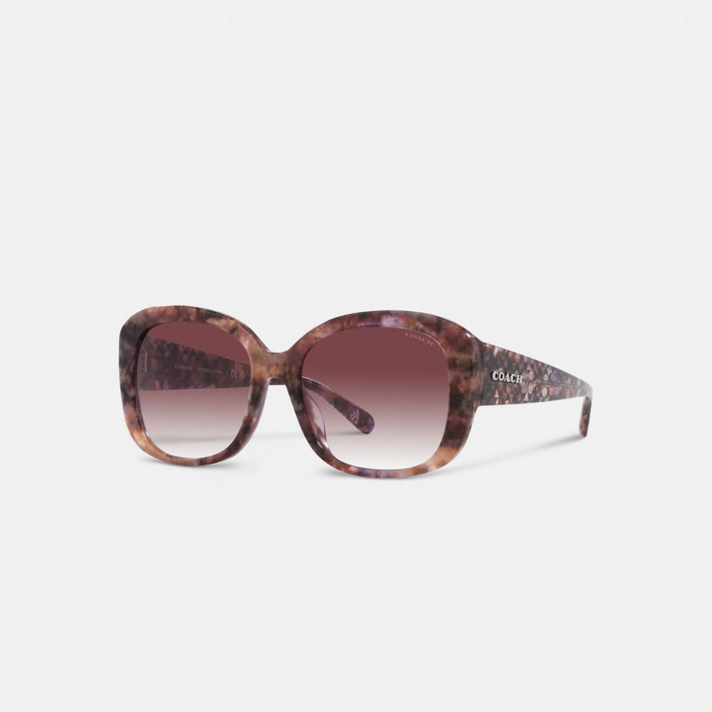 Coach Signature Oversized Square Sunglasses Purple Tortoise | 531-WEMISU