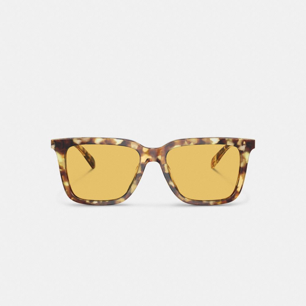 Coach Signature Square Sunglasses Honey Tortoise | 610-ZUJQKP