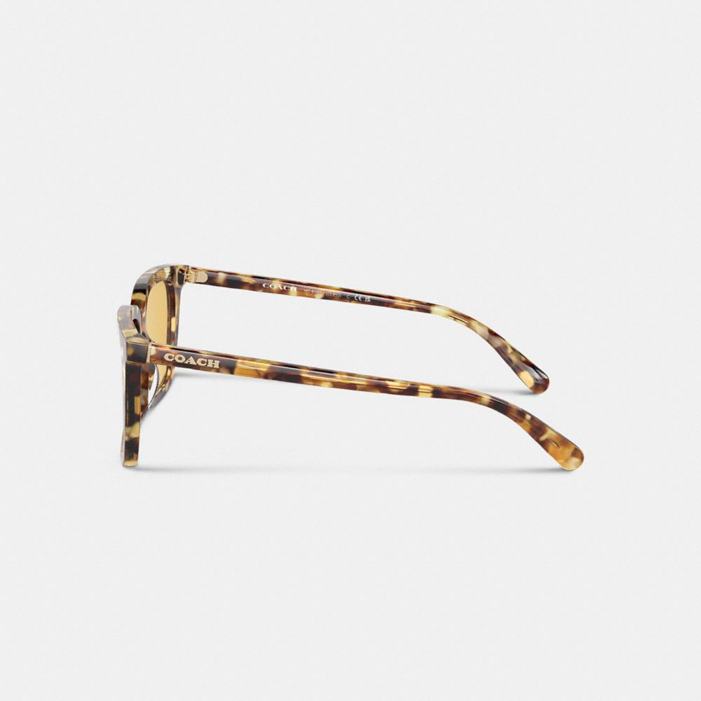 Coach Signature Square Sunglasses Honey Tortoise | 610-ZUJQKP