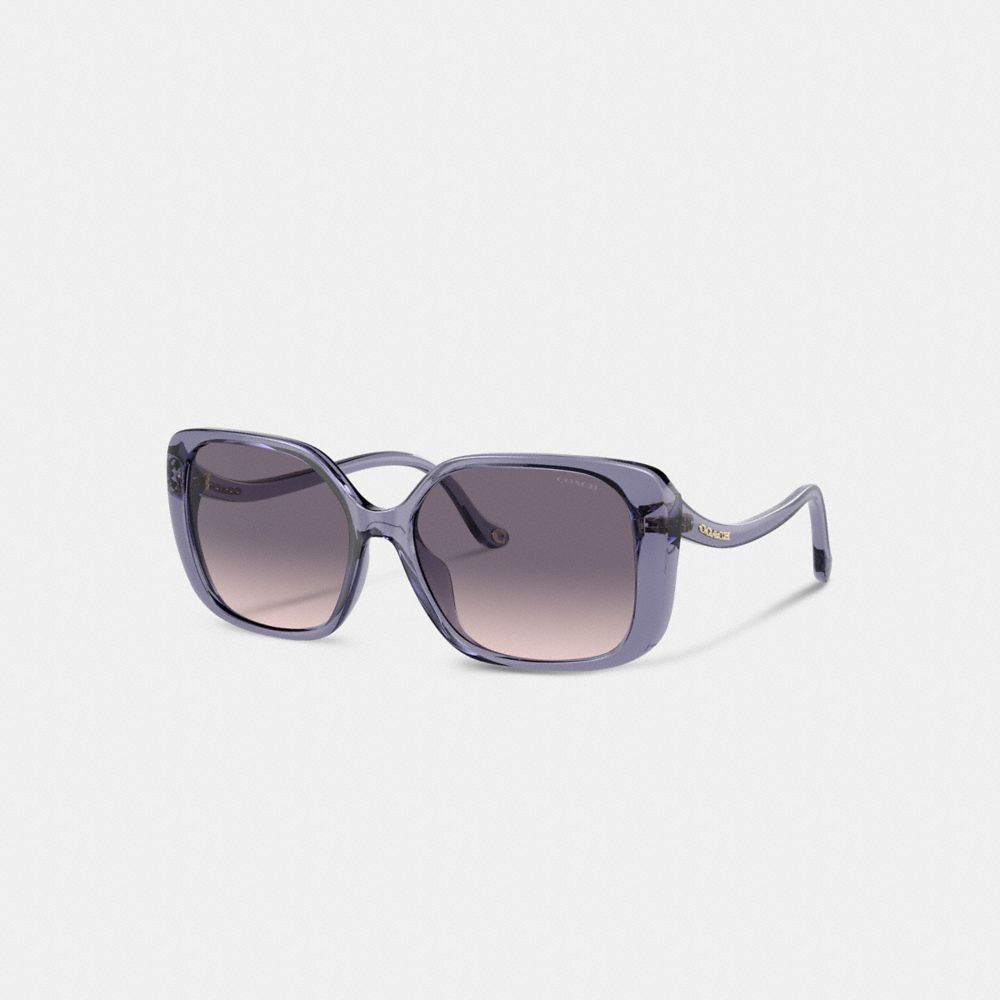 Coach Swoop Temple Rectangle Sunglasses Transparent Purple | 012-LGXPWT